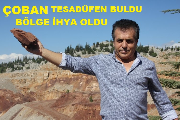 İdil Haber