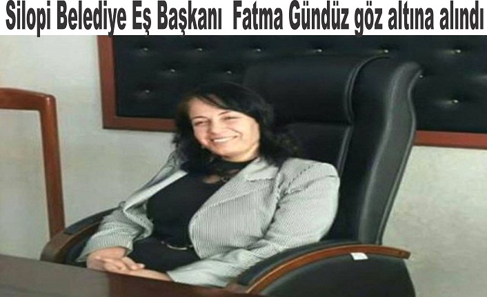 Hdp Silopi Es Baskani Fatma Gunduz Goz Altina Alindi Idil Haber