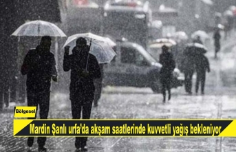 Mardin Şanlıurfa'da akşam saatlerinde kuvvetli yağış bekleniyor