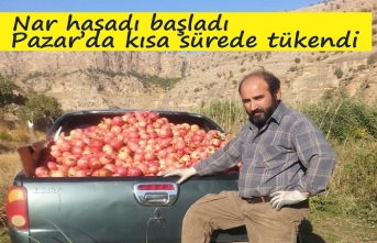 Nevzet Nar hasadına başladı