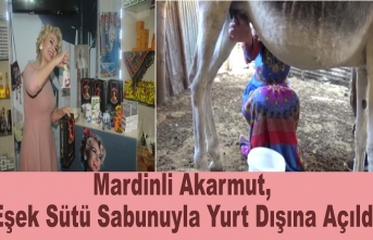 Mardinli Akarmut, Eşek Sütü Sabunuyla Yurt Dışına Açıldı