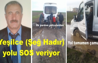 Yeşilce Mezrası (Şeğ Hadır) yolu SOS veriyor