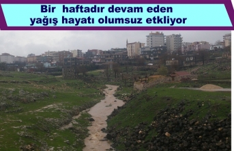 Bir haftadır devam eden yağış hayatı olumsuz etkiliyor