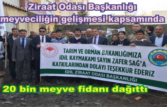 Meyveciliğin geliştirmesi projesi kapsamında 22 bin meyve fidanı dağıtıldı