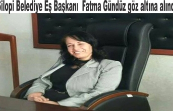 HDP Silopi Eş Başkanı Fatma Gündüz göz altına alındı