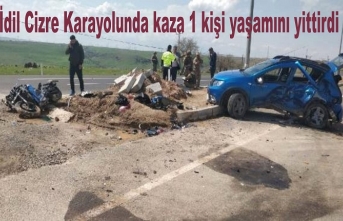 İdil Cizre kara yolunda trafik kazası 1 kişi yaşamını yitirdi