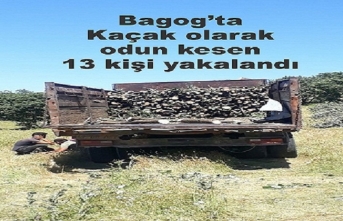 Bagog dağında kaçak olarak odun kesen 13  kişi yakalandı