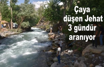 Dut toplarken  çaya düşen Jehat'a ulaşılmıyor