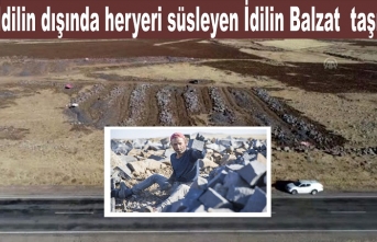 İdil'in taşları idilin dışında her yeri süslüyor