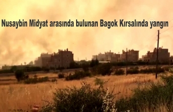 Nusaybin Midyat arasında bulunan Bagok kırsalında yangın
