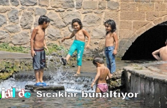 İdil'de sıcaklar bunaltıyor