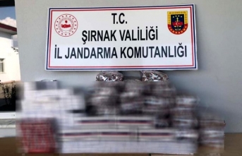 Şırnak'ta uyuşturucu ve kaçakçılık operasyonu: 40 gözaltı