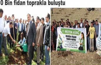 10 Bin fidan toprakla buluştu