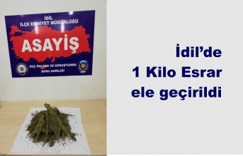 İdil'de 1 Kilo Esrar ele geçirildi