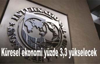 IMF'den dikkat çeken Türkiye açıklaması