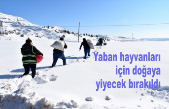 yaban hayvanları için doğaya yiyecek bırakıldı