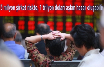 5 milyon şirket riskte, 1 trilyon doları aşkın hasar oluşabilir