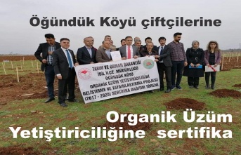 Organik Üzüm Yetiştiriciliğine  sertifika