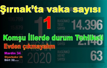 Şırnak'ta vaka sayısı 1 komşu illerde durum tehlikeli