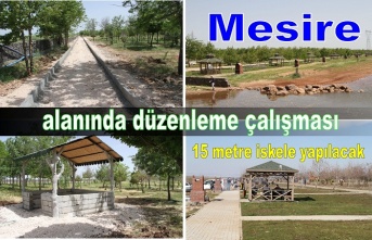 Mesire alanında düzenleme çalışması