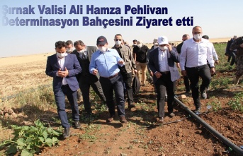 Şırnak Valisi Ali Hamza PEHLİVAN Determinasyon Bahçesini Ziyaret etti.