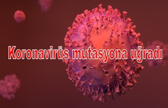 Koronavirüs mutasyona uğradı