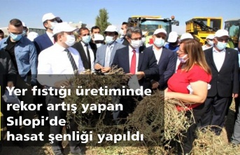 Sılopi'de yerfıstığı şenliği