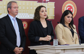 Ayşegül Doğan İdil'in su sorununu meclise taşıdı