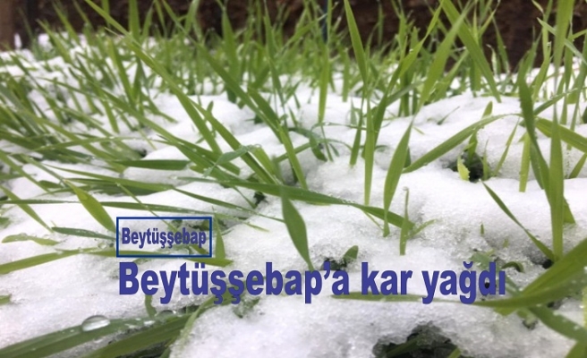 Beytüşebap'a kar yağdı