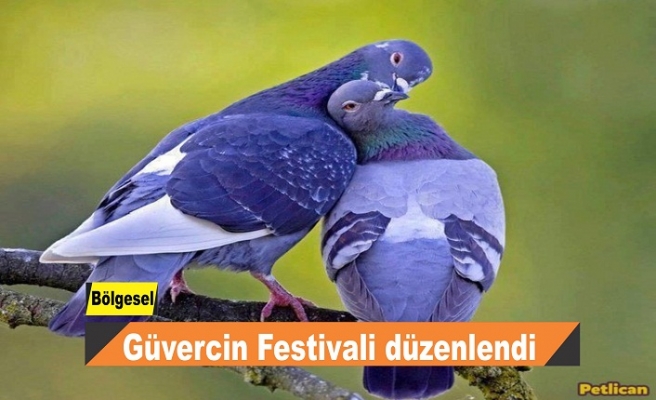 Güvercin Festivali düzenlendi