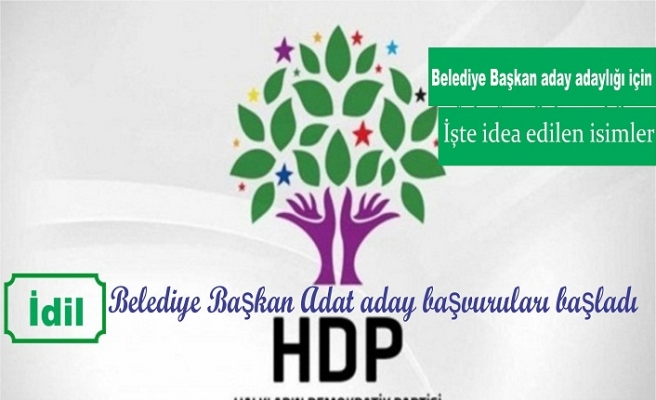 HDP belediye başkan aday aday başvuruları başladı