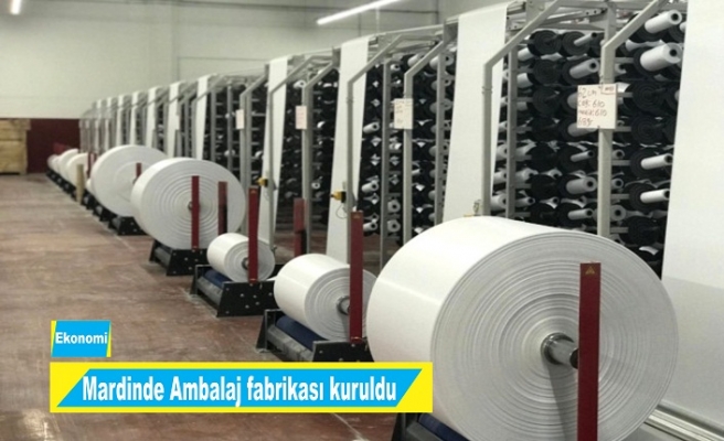Mardin'de Ambalaj Fabrikası açıldı
