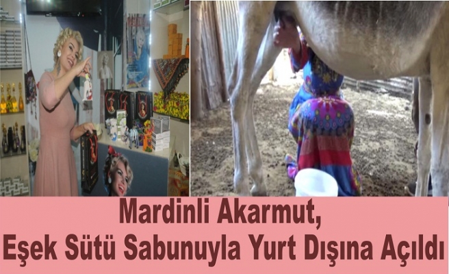 Mardinli Akarmut, Eşek Sütü Sabunuyla Yurt Dışına Açıldı