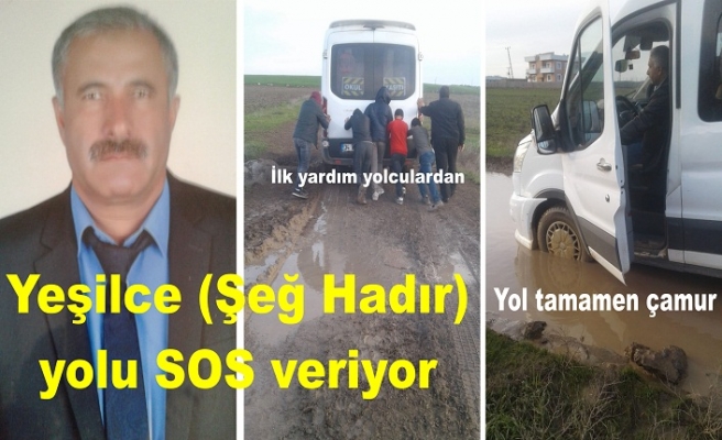 Yeşilce Mezrası (Şeğ Hadır) yolu SOS veriyor