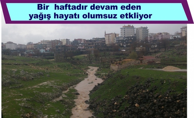 Bir haftadır devam eden yağış hayatı olumsuz etkiliyor