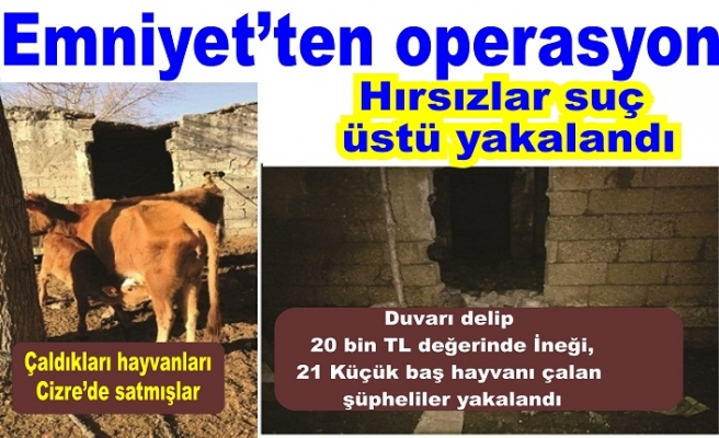 Emniyet’ten hırsızlara suçüstü 2 kişi tutuklandı