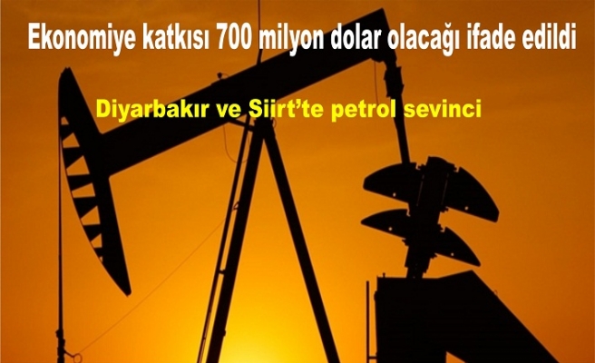Siirt Diyarbakır'daki 3 kuyuda petrol rezervi ekonomiye katkısı 700 milyon dolar olacağını açıklandı