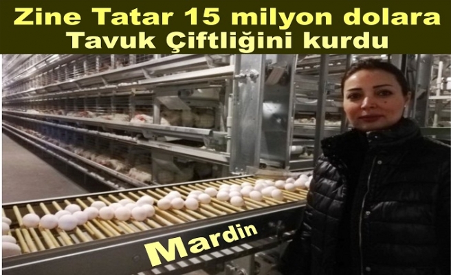 Zine Tatar Mardin'de 15 Milyon dolar harcayıp devlet desteği de alarak tavuk çiftliğini kurdu