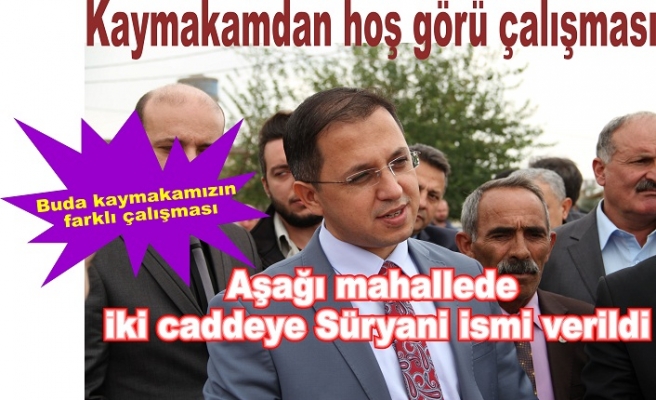 Farklı bir çalışma Kaymakam Sağ’dan bir hoş görü çalışması