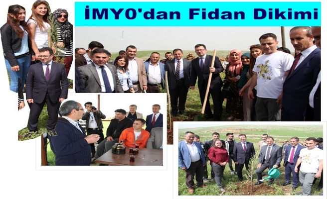 İMYO fidan dikimi