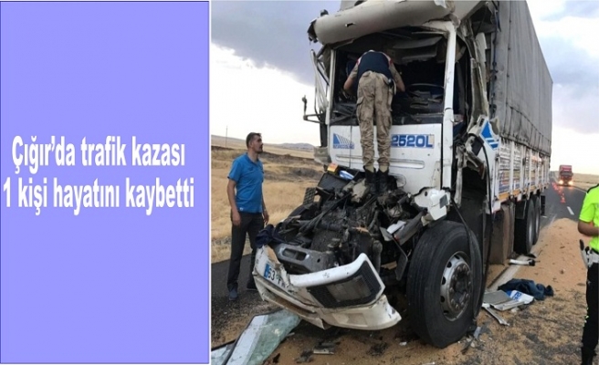 Çığır'da trafik kazası 1 kişi hayatını kaybetti