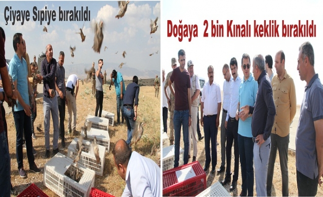 İdil’de doğaya 2 bin kınalı keklik bırakıldı