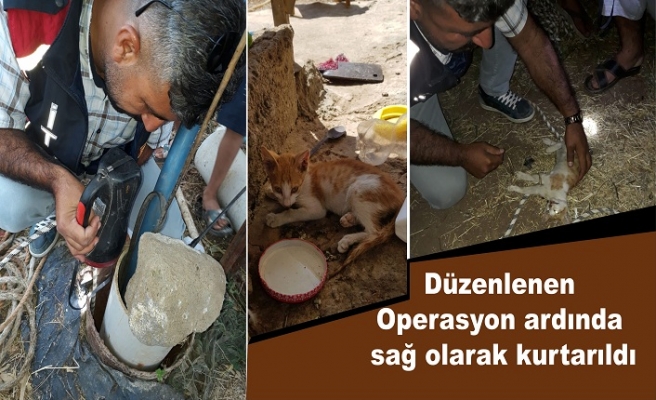 Gırbarazda Operasyon İdil İtfaiyesi kurtardı