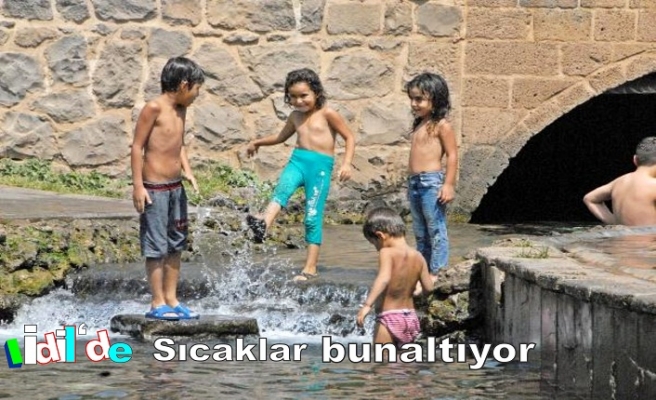 İdil'de sıcaklar bunaltıyor