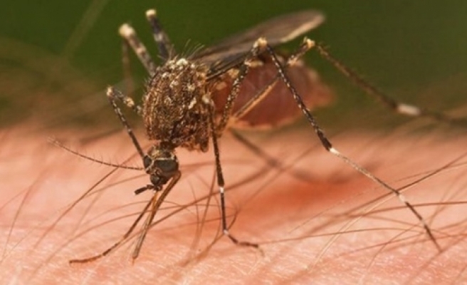 Sivrisineğin ısırdığı vatandaş, evden çıkamıyor!
