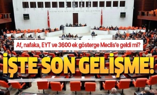 25 Kasım Meclis gündemi! Af, nafaka, EYT ve 3600 ek gösterge Meclis'e geldi m