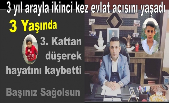 3. Kattan düşerek hayatını kaybetti