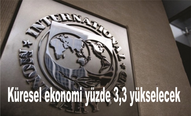 IMF'den dikkat çeken Türkiye açıklaması