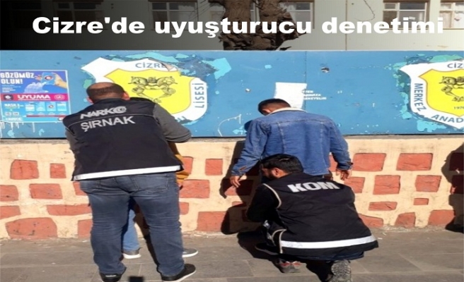 Cizre'de uyuşturucu denetimi