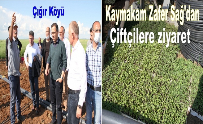 Kaymakam Zafer Sağ’dan Çiftçilere ziyaret